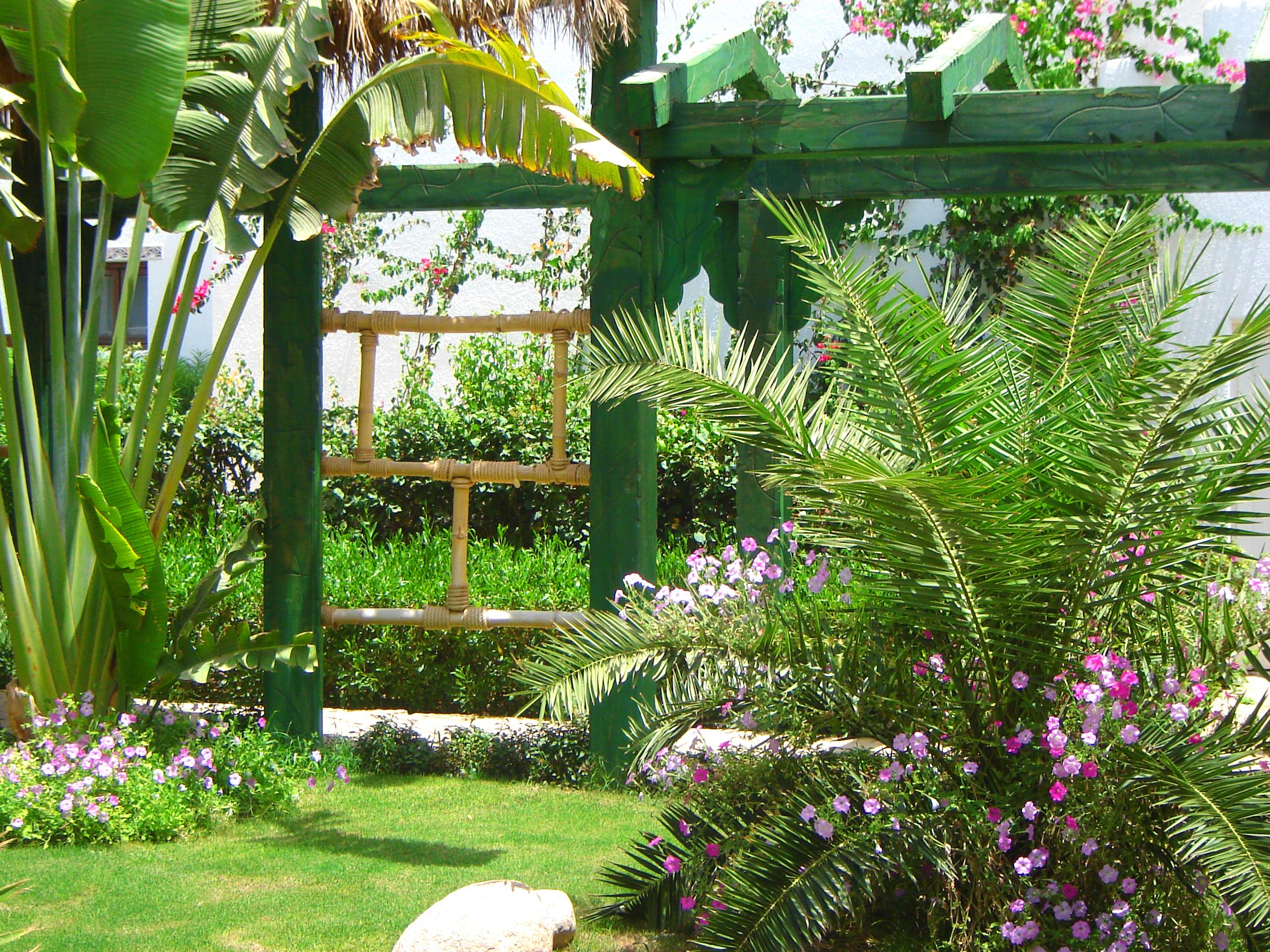 Delta Sharm Resort ,Official Web, Delta Rent, Sharm El Sheikh, South Sinai, Egypt Kültér fotó